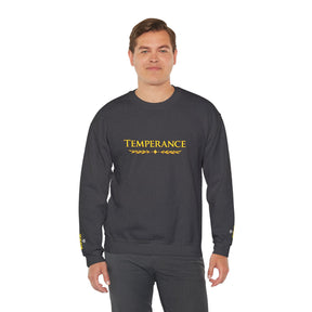 Entered Apprentice Blue Lodge Sweatshirt - Square & Compass Temperance Keep Balance - Bricks Masons