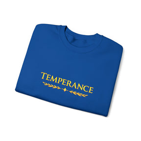 Entered Apprentice Blue Lodge Sweatshirt - Square & Compass Temperance Keep Balance - Bricks Masons