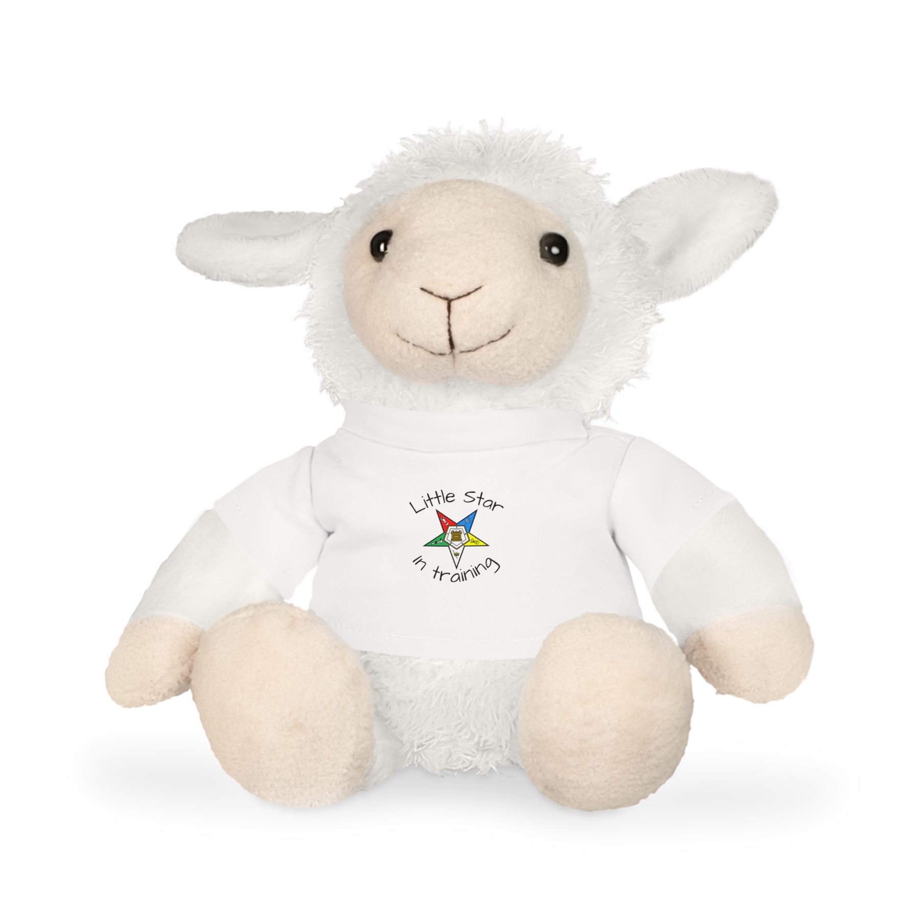 OES Teddy Bear - Little Star In Training 4 Plushies - Bricks Masons