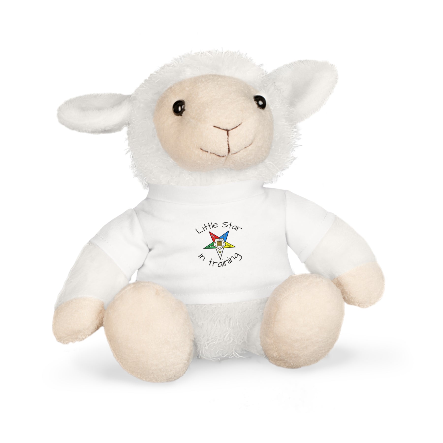 OES Teddy Bear - Little Star In Training 4 Plushies - Bricks Masons