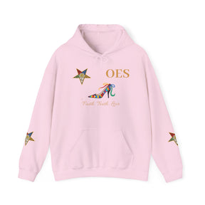 OES Hoodie - Faith Truth & Love with The Colorful Eastern Star - Bricks Masons
