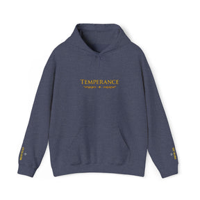 Entered Apprentice Blue Lodge Hoodie - Bricks Masons