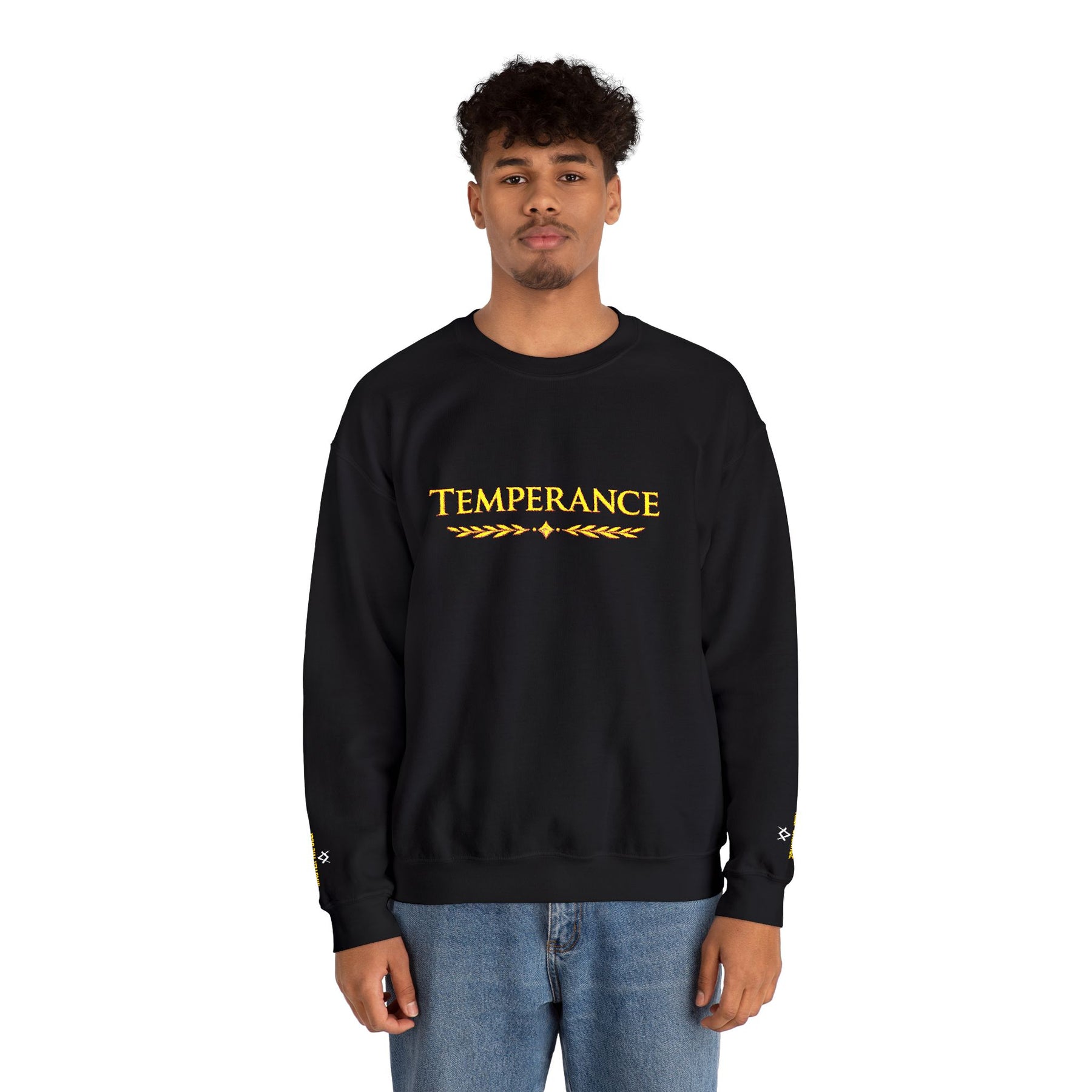 Entered Apprentice Blue Lodge Sweatshirt - Square & Compass Temperance Keep Balance - Bricks Masons