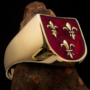 Knights Templar Ring - Red Knight Fleur De Lis Cross Brass - Bricks Masons